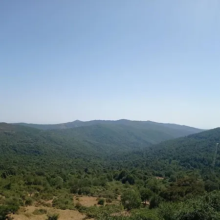 Maison De Village, Charmante Et Authentique, Haute-corse Vezzani
